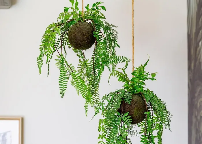 House - Pool On Rooftop *