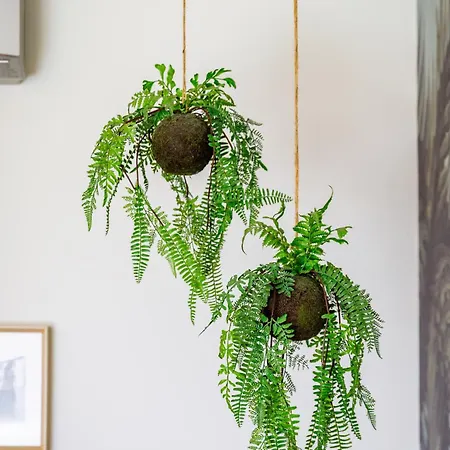 House - Pool On Rooftop *